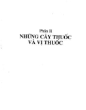 Cây thuốc và vị thuốc chữa bệnh phụ nữ