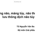 Bài giảng Màng não, màng tủy, não thất và lưu thông dịch não tủy - TS. Nguyễn Văn Ba