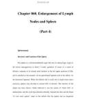 Chapter 060. Enlargement of Lymph Nodes and Spleen (Part 4)