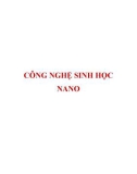 Sinh học Công nghệ Nano