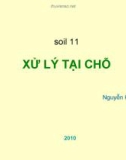 Đất 11 - Xử lý tại chỗ