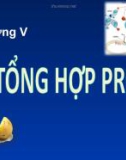 Bài giảng chương 5: Sinh tổng hợp protein