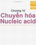 Bài giảng Hóa sinh - Chương 10: Chuyển hóa nucleic acid