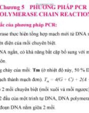 Chương 5: PHƯƠNG PHÁP PCR (POLYMERASE CHAIN REACTION)