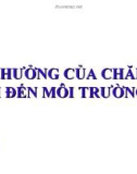 ẢNH HƯỞNG CỦA CHĂN NUÔI ĐẾN MÔI TRƯỜNG