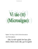 Vi tảo (part 4)