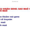 Biểu hiện Gene: Sao mã và dịch mã