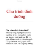 Chu trình dinh dưỡng Chu trình dinh dưỡng là gì?