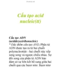 Cấu tạo acid nucleic(tt)