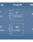 Bài giảng trao đổi chất qua màng tế bào part 6