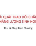 Bài giảng Khái quát trao đổi chất và năng lượng sinh học - ThS. Lê Thụy Bình Phương