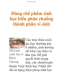 Dùng chế phẩm sinh học biến phân chuồng thành phân vi sinh