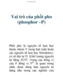 Tài liệu: Vai trò của phốt pho (phosphor –P)