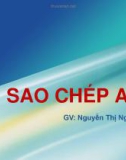 Bài giảng Sinh học phân tử: Sao chép ADN - Nguyễn Thị Ngọc Yến