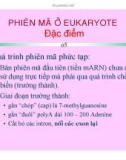 CÁC QUÁ TRÌNH SINH HỌC Ở MỨC PHÂN TỬ part 5