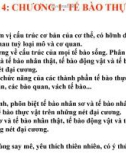 Bài giảng Hình thái giải phẫu học thực vật - Chương 1: Tế bào thực vật