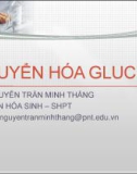 Bài giảng Chuyển hóa Glucid - BS. Nguyễn Trần Minh Thắng