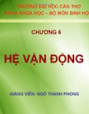 Bài giảng Sinh học đại cương A2: Chương 6 - Ngô Thanh Phong