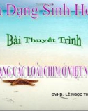 Bài thuyết trình Đa dạng sinh học: Đa dạng các loài chim Việt Nam