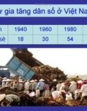 Sự gia tăng dân số ở Việt Nam