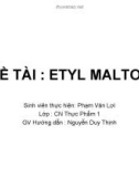 Báo cáo đề tài Chất phụ gia Etyl maltol