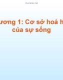 Bài giảng Sinh học đại cương: Chương 1 - Nguyễn Thị Diệu Hạnh