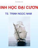 Bài giảng Sinh học đại cương - Chương 1: Cơ sở hóa học của sự sống