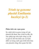 Trình tự genome plastid Emiliania huxleyi (p-3)