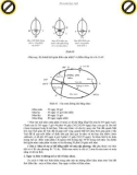 Giáo trình phân tích khả năng ứng dụng những khoảng cách trong thiên văn nhật động p2