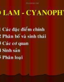 Giáo trình thực vật thủy sinh part 2