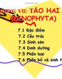 Giáo trình thực vật thủy sinh part 7