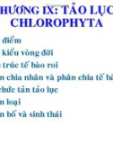 Giáo trình thực vật thủy sinh part 9