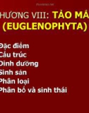 Giáo trình thực vật thủy sinh part 8