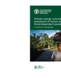 Climate change vulnerability assessment of forests and forest-dependent people - A framework methodology