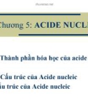 Bài giảng đại cương hóa sinh học - Chương 5