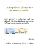 Thành phần và cấu tạo hóa học của acid nucleic