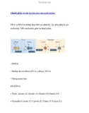 Thành phần và cấu tạo hóa học acid nucleic