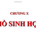 Hồ sinh học