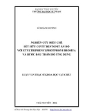 Luận văn Thạc sĩ Khoa học Vật chất: Nghiên cứu điều chế sét hữu cơ từ bentonit Ấn Độ với etyltriphenylphotphoni bromua và bước đầu thăm dò ứng dụng