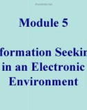 Module 5 Information Seeking in an Electronic Environment