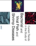 Ebook Current trends in the study of bacterial and viral fish and shrimp diseases: Part 1