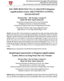 Đặc điểm hình thái của cá chạch bùn Misgurnus anguillicaudatus (Cantor, 1842) ở phường An Đông, thành phố Huế