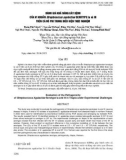 Đánh giá khả năng gây bệnh của vi khuẩn Streptococcus agalactiae serotype Ia và III trên cá rô phi trong điều kiện thực nghiệm