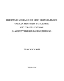 Luận án tiến sĩ HYDRAULIC MODELING OF OPEN CHANNEL FLOWS OVER AN ARBITRARY 3-D SURFACE AND ITS APPLICATIONS IN AMENITY HYDRAULIC ENGINEERING 