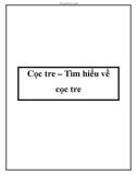 Cọc tre – Tìm hiểu về cọc tre