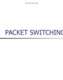 Chapter8 - PACKET SWITCHING