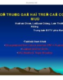 Báo cáo nghiên cứu nông nghiệp CÔN TRÙNG GÂY HẠI TRÊN CÂY CÓ MÚI 