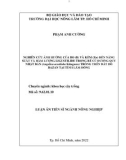 Luận án Tiến sĩ Nông nghiệp: Nghiên cứu ảnh hưởng của bo (B) và kẽm (Zn) đến năng suất và hàm lượng ligustilide trong rễ củ đương quy Nhật Bản (Angelica acutiloba Kitagawa) trồng trên đất đỏ bazan tại tỉnh Lâm Đồng