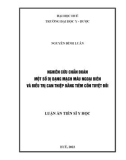 Luận án Tiến sĩ Y học: Nghiên cứu chẩn đoán một số dị dạng mạch máu ngoại biên và điều trị can thiệp bằng tiêm cồn tuyệt đối