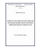 Luận án tiến sĩ Y học: Nghiên cứu đặc điểm lâm sàng, hình ảnh tổn thương hệ động mạch cảnh trong ở bệnh nhân đột quỵ nhồi máu não